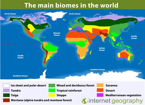 World Map Biomes Internet Geography