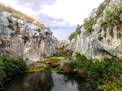 Parco Naturalistico di Capotenda (Gravina in Puglia) - 2021 All You ...