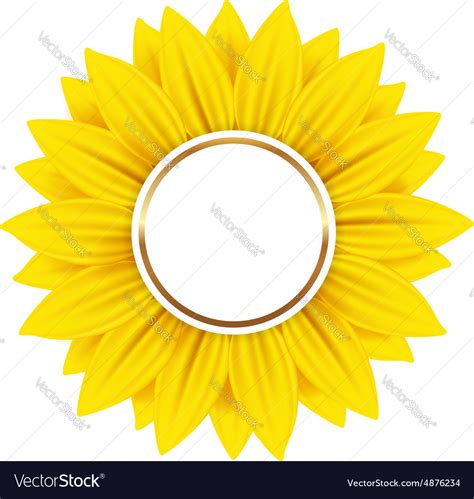 Round Banner With Yellow Sunflower Royalty Free Vector Image