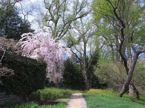 Dumbarton Oaks In April Dc Gardens