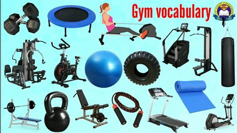 Gym Vocabulary In English Gym Vocabulary Words Gym Equipment Easy English Learning Process