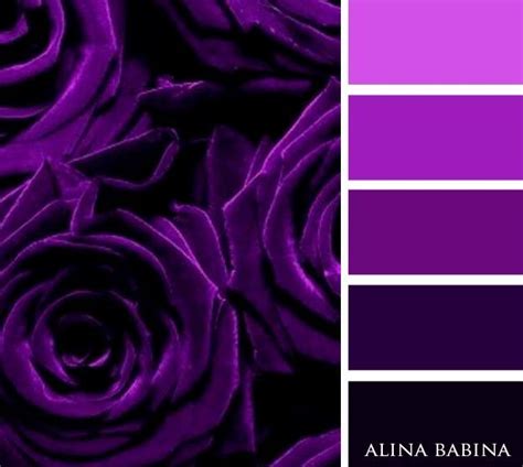 Black Color Palette Purple Palette Color Schemes Colour Palettes
