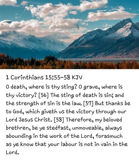 1 Corinthians 1555 58 Verse Of The Day Daily Verses Daily Bible Verse