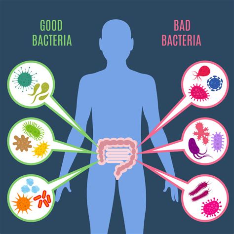 Everyone's gut has a delicate balance of good and bad bacteria that needs to be maintained. 10 Evidence Based Ways to Boost Healthy Gut Bacteria