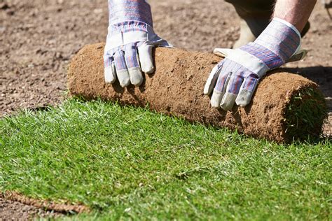 Turfing Local Turf Suitable For Your Area Competive Pricing