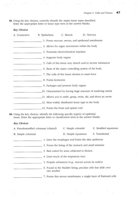 Anatomy And Physiology Printable Study Guide Free Worksheets Samples