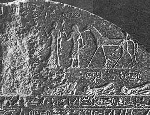 Twenty Fifth Dynasty Of Egypt