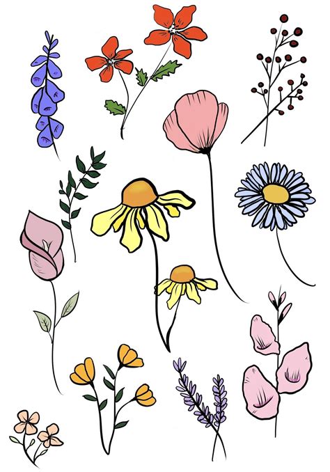 Digital Art Flowers Cute Flower Drawing Wildflower Drawing Flower