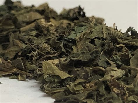 Dht is the hormone responsible for androgenic alopecia hair loss. Organic Nettle Leaf Tea - Urtica dioica | HERBALVEDA