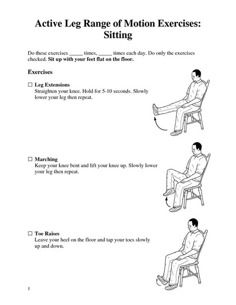 Seated Leg Exercises For Seniors Pdf