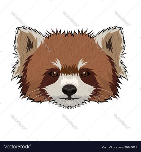 Red Panda Head Isolated On A White Background Vector Image