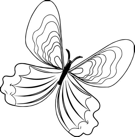 Cool Paint Butterfly Coloring Page Butterfly Coloring Page Coloring