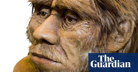 The Downside Of Sex With Neanderthals Neanderthals The Guardian Free Hot Nude Porn Pic Gallery