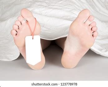 Angelina jolie and jennifer aniston have thus far avoided this curse, often wearing sensible footwear. Dead Woman Feet Images, Stock Photos & Vectors | Shutterstock