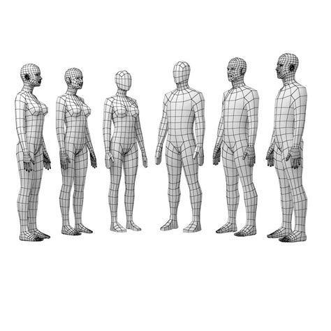 Female And Male Base Mesh Natural Proportions In Rest Pose Bundle 3d Model