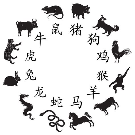 Chinese Zodiac Png Png Image Collection