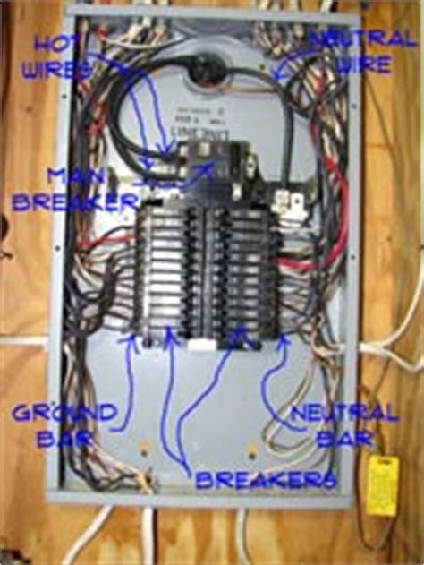 Household circuits carry electricity from the main service panel, throughout the house, and back to the main service panel. Main Service Panel | Wiring | Electrical | Repair Topics
