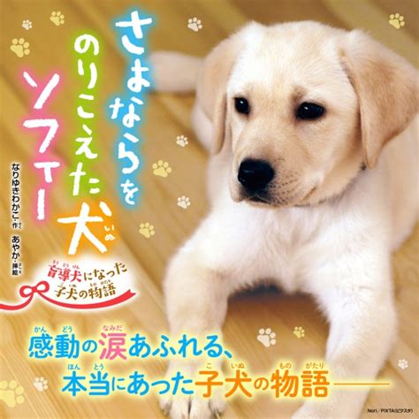 さよならをのりこえた犬 ソフィー 盲導犬になった子犬の物語 特集 本