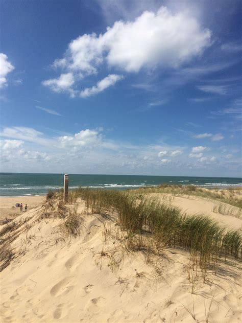 A quelques pas de la plage de la palmyre et de la baie de bonne anse, vous aurez l'occasion de tester les nombreuses activités nautiques proposées, découvrir son port, le phare de la coubre, les excursions et les restaurants. Charente maritime, plage, cote sauvage, 17, france, les ...