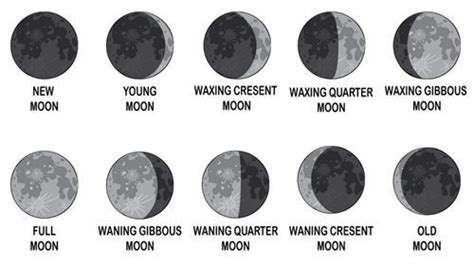 Moon Phases Clipart Clipground