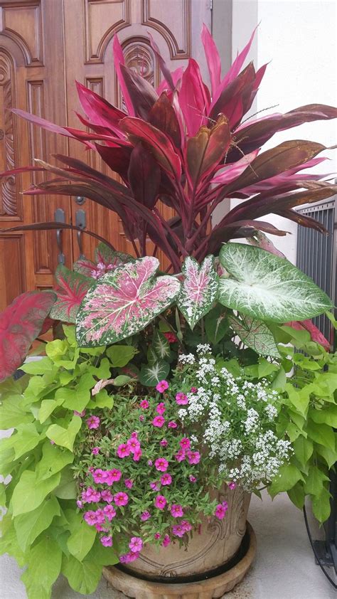 Tropical Planters I Made Patio Container Gardening Patio Flowers