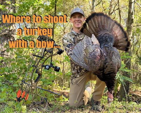 Where To Shoot A Turkey With A Bow Flex Fletch Products Inc