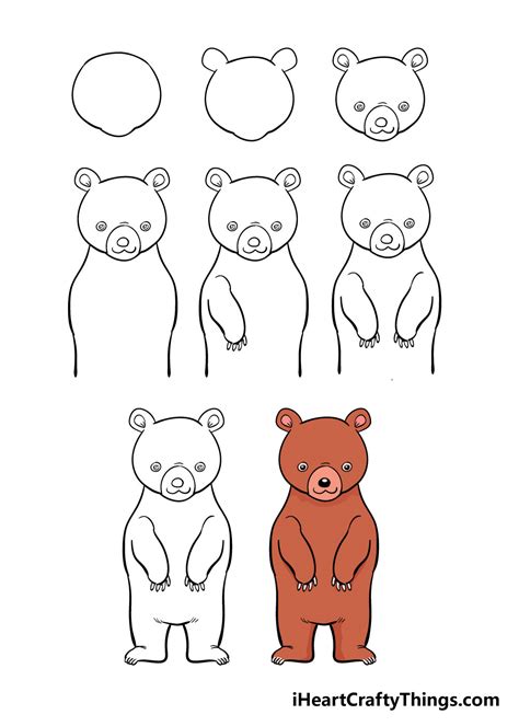 Bear Drawing How To Draw A Bear Step By Step