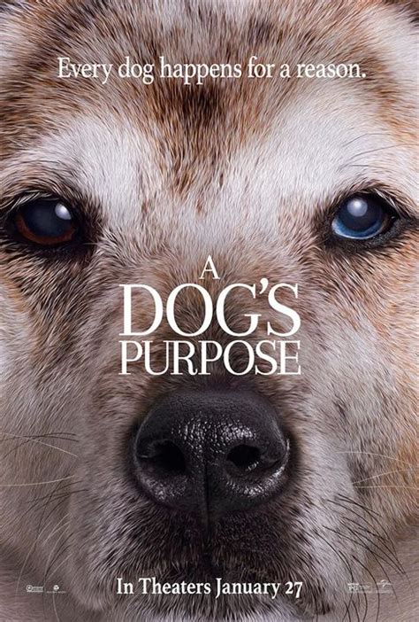 Affiche du film Mes vies de chien Photo sur AlloCiné