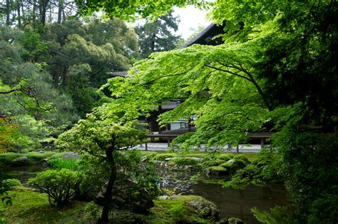 Check spelling or type a new query. File:Zen Garden, Nanzen-ji Temple (7005735830) (3).jpg ...