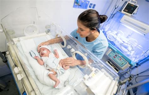 Nicu Nurse 5 Steps To Become A Neonatal Nurse
