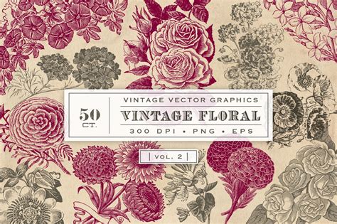 Vintage Flower Vector Graphics 2 ~ Graphic Objects ~ Creative Market