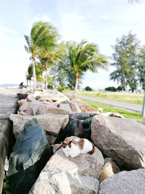 Mandi di pantai kekabu marang 2020 djiosmomobile3 iphone11promax ultrawideangle micinoor. Permandangan Indah di Pantai Pulau Kekabu Marang - Husniey ...