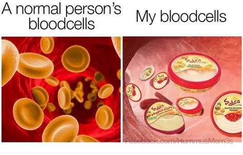 Literally Just 18 Of The Funniest Memes About Hummus Chooseveg