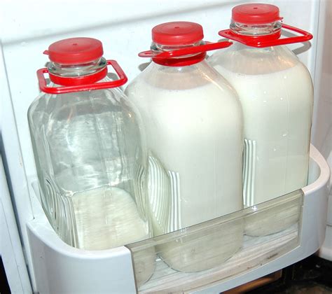 Gallon Glass Milk Bottles With Lids Glass Designs