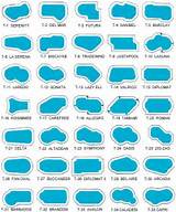 Swimming Pool Shapes