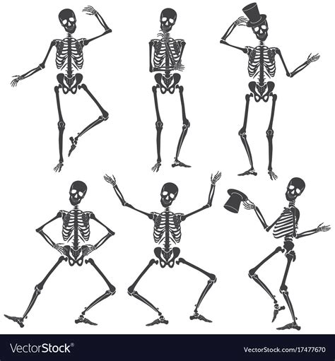 Dancing Skeletons Different Skeleton Poses Vector Image