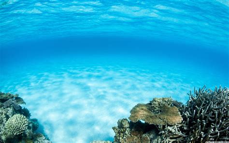 Underwater Wallpapers Top Free Underwater Backgrounds