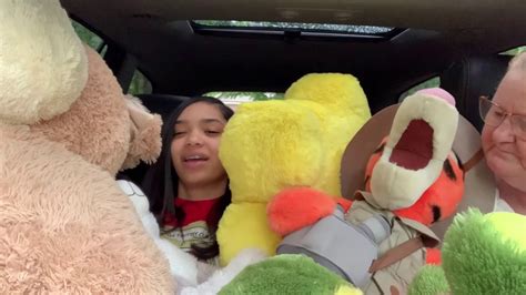 Complete veterinary services at kennesaw pet center we cover all your animal care needs. driving my pets to the vet | Jessikatheprankster - YouTube