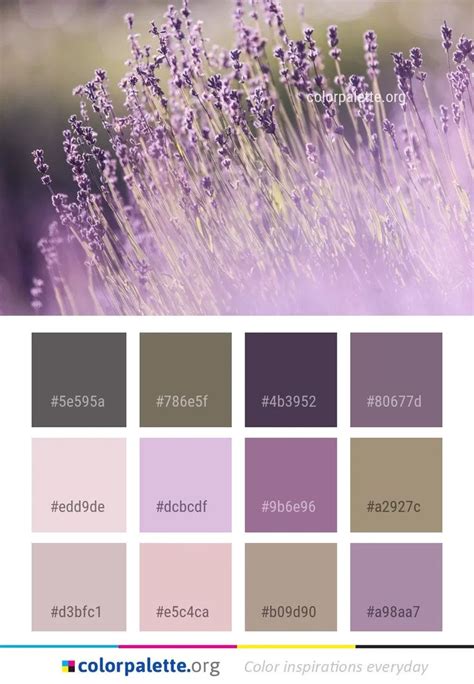 What Colors Go With Lavender Shorts Funeral