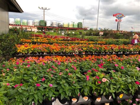 Houston Garden Centers 31 Photos And 27 Reviews Nurseries And Gardening