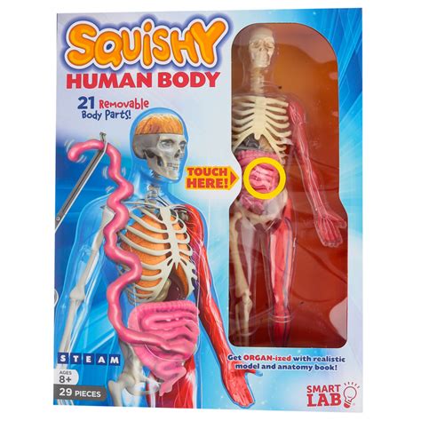 SmartLab Toys, Squishy Human Body STEAM Kit, 29 Pieces, 10 x 3 x 13.5 Inches, Grades 3 and up ...