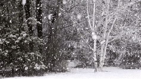 Beautiful Snowfall In Gifs Funzug Com