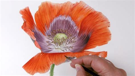 Pin By Tonia Boterf On Watercolor Painting Tutorials Lessons And Demos