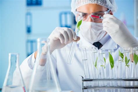 The Biotechnology Concept With Scientist In Lab Stock Photo Image Of