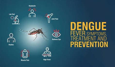 Dengue Fever A Complete Guide To Symptoms Treatment And Prevention