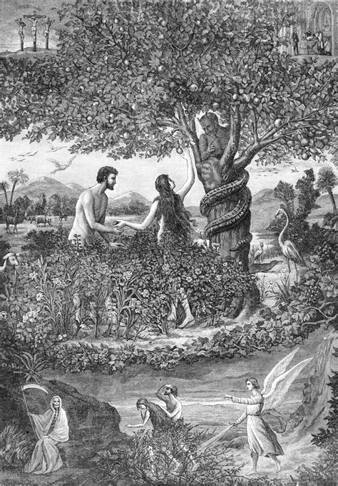 What You Might Not Know About Adam And Eve