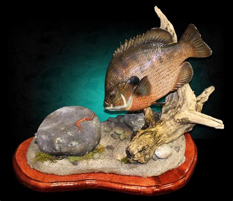 Bluefish Replica Mounted Fish Fish Trophy Fish Mount From Picture