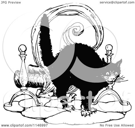 Clipart Of A Retro Vintage Black And White Scared Cat