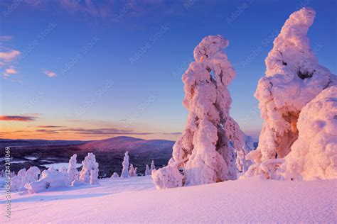 Foto De Sunset Over Frozen Trees On A Mountain Levi Finnish Lapland