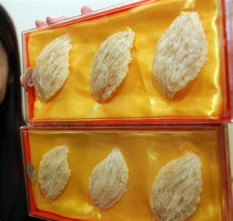 6 bottle (s) x 50ml. Malaysia-China deal to boost local bird's nest prices ...